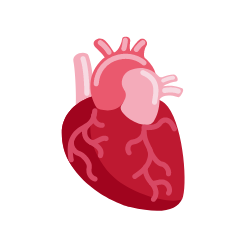 HEART HEALTH ISSUES
